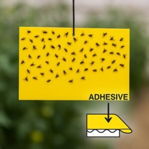 Böcek Yapıştırıcıları